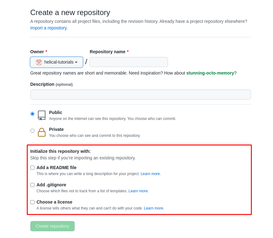 github repository options