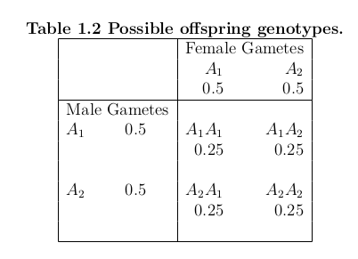 punnet-square.png